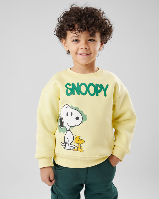 snoopy set